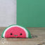 Watermelon Crochet Kit