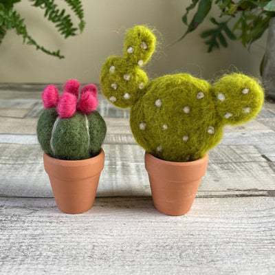 Needle felting kit - Cacti - wool craft project for beginner