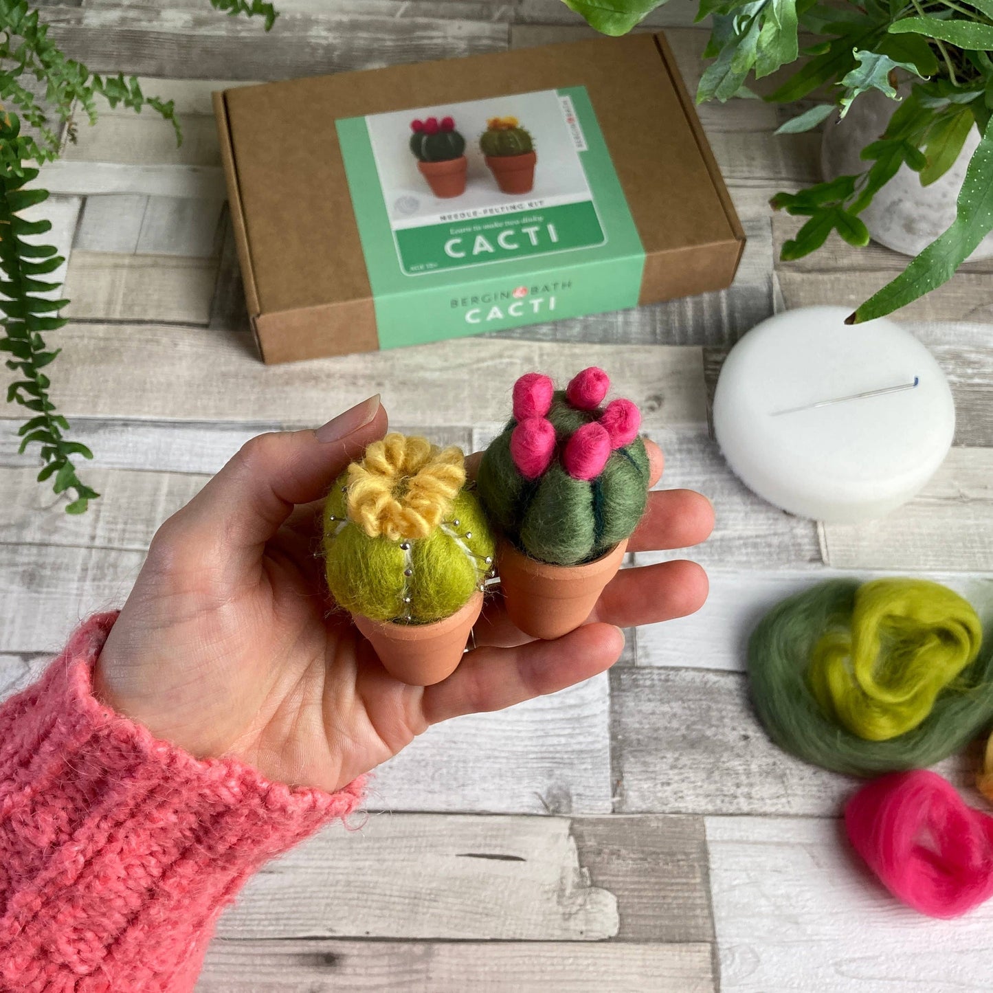 Needle felting kit - Cacti - wool craft project for beginner