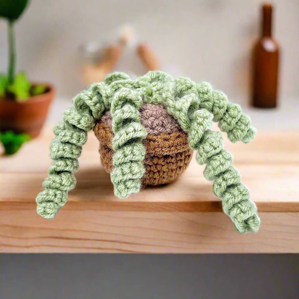 crochet succulent kit Succulent Greens Amigurumi Kit