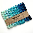 Emma's Yarn Practically Perfect Theme Packs