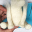 Needle Felting Kit - Polar Bear - make your own polar bear.