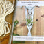 DIY Macrame Air Plant Hanger Kit - The Anika