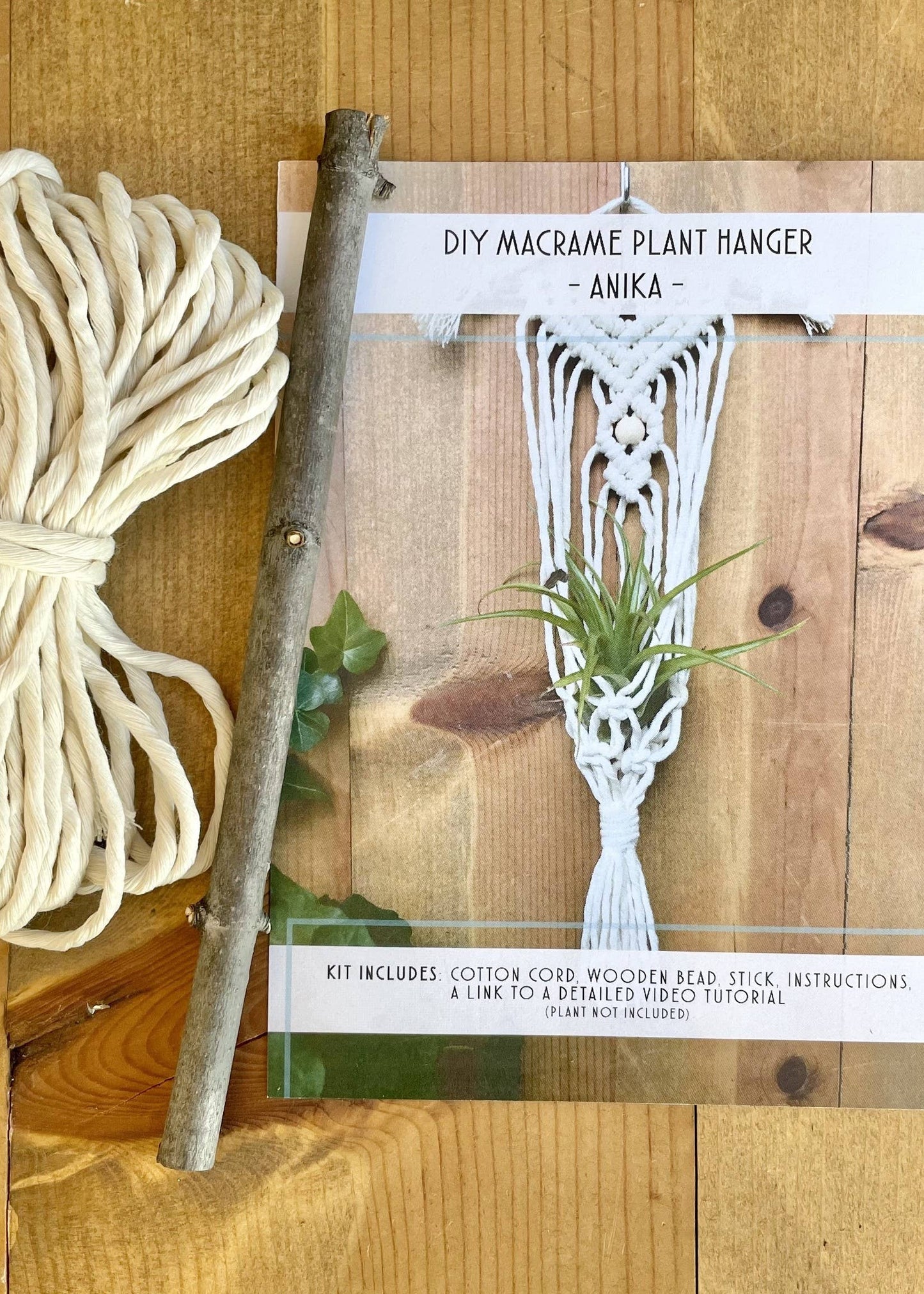 DIY Macrame Air Plant Hanger Kit - The Anika