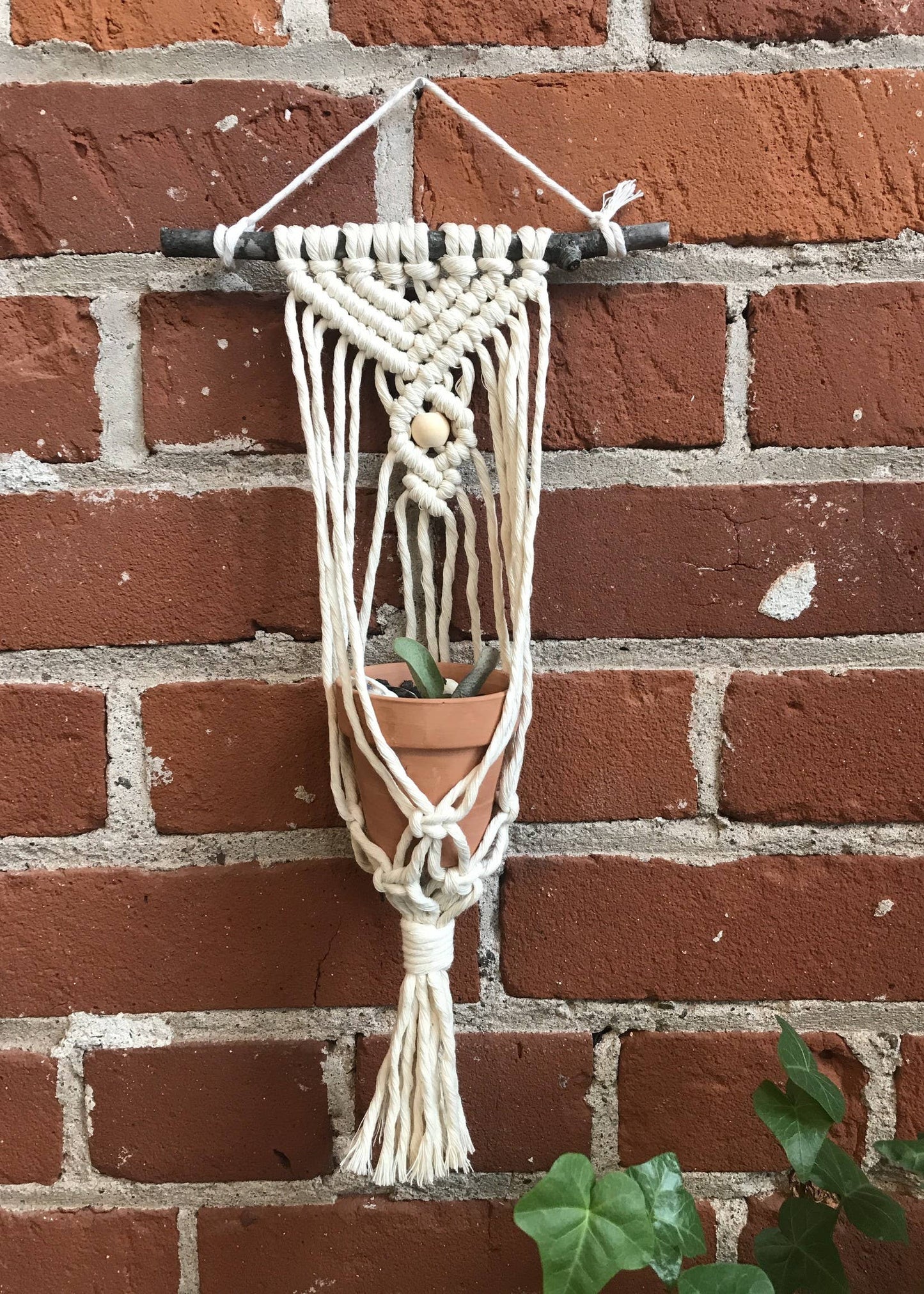 DIY Macrame Air Plant Hanger Kit - The Anika