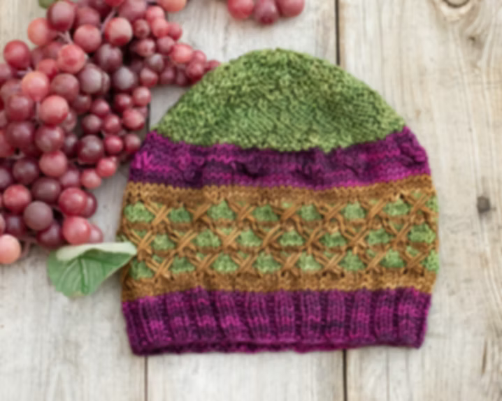 Knitting USA & California Beanie Hat Kits by Nancy Bates