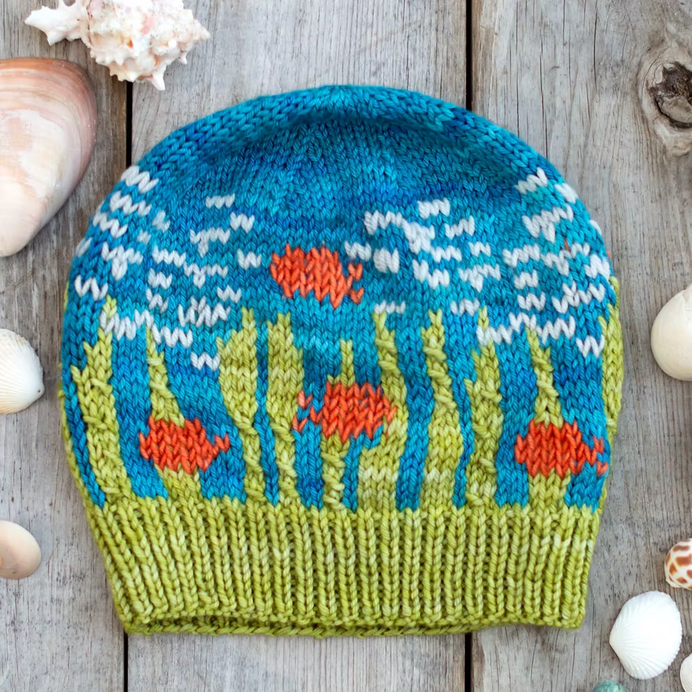 Knitting USA & California Beanie Hat Kits by Nancy Bates
