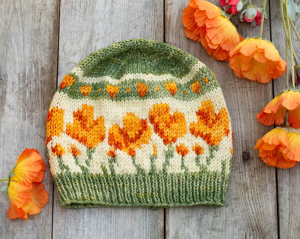 Knitting USA & California Beanie Hat Kits by Nancy Bates