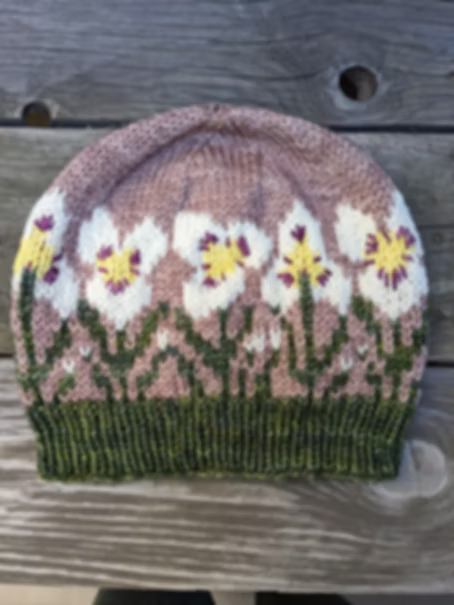 Knitting USA & California Beanie Hat Kits by Nancy Bates