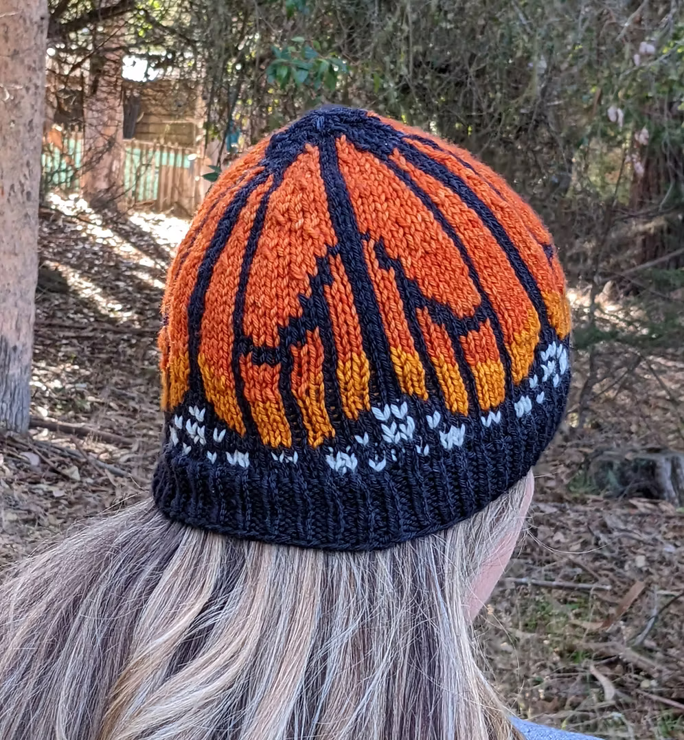 Knitting USA & California Beanie Hat Kits by Nancy Bates