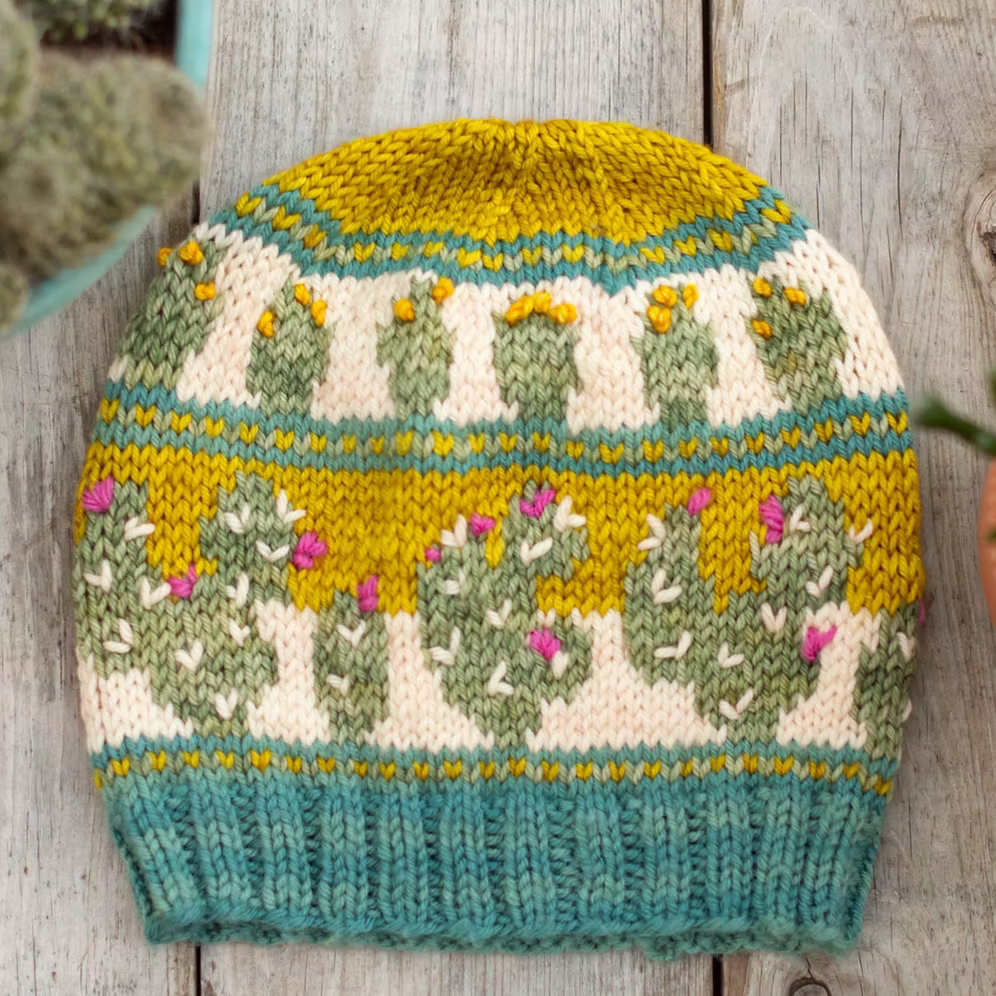 Knitting USA & California Beanie Hat Kits by Nancy Bates