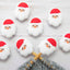 Santa | Stitch Stoppers