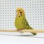 Needle Felting Kit Budgie Green. Make a budgerigar