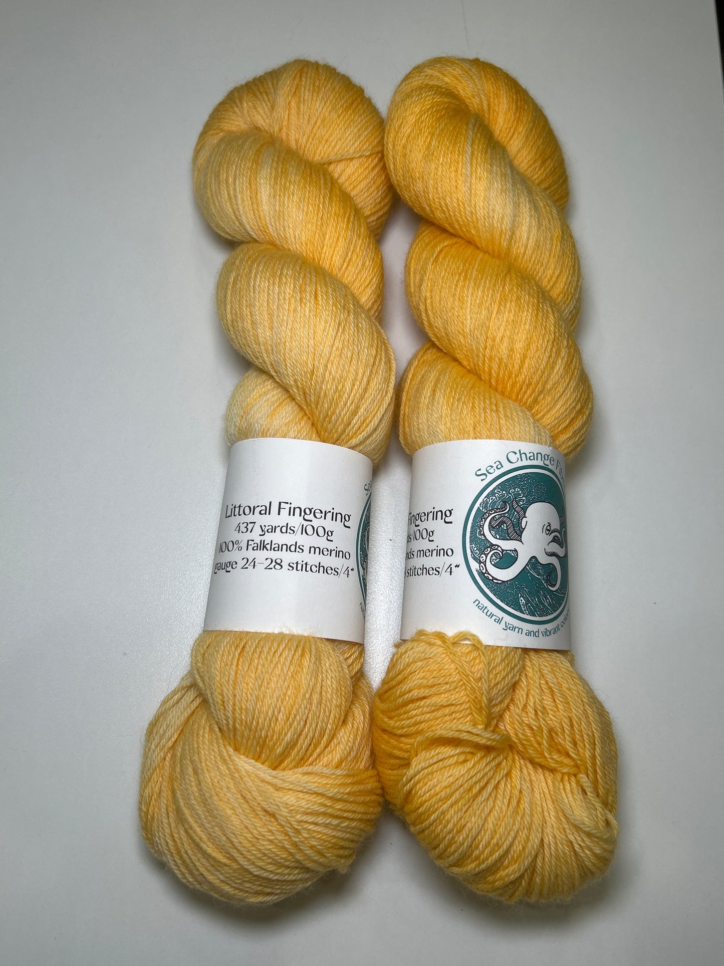 Sea Change Fibers Littoral Fingering ✧ 100% Falklands Merino