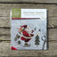 Skating Santa Cross-Stitch Kit