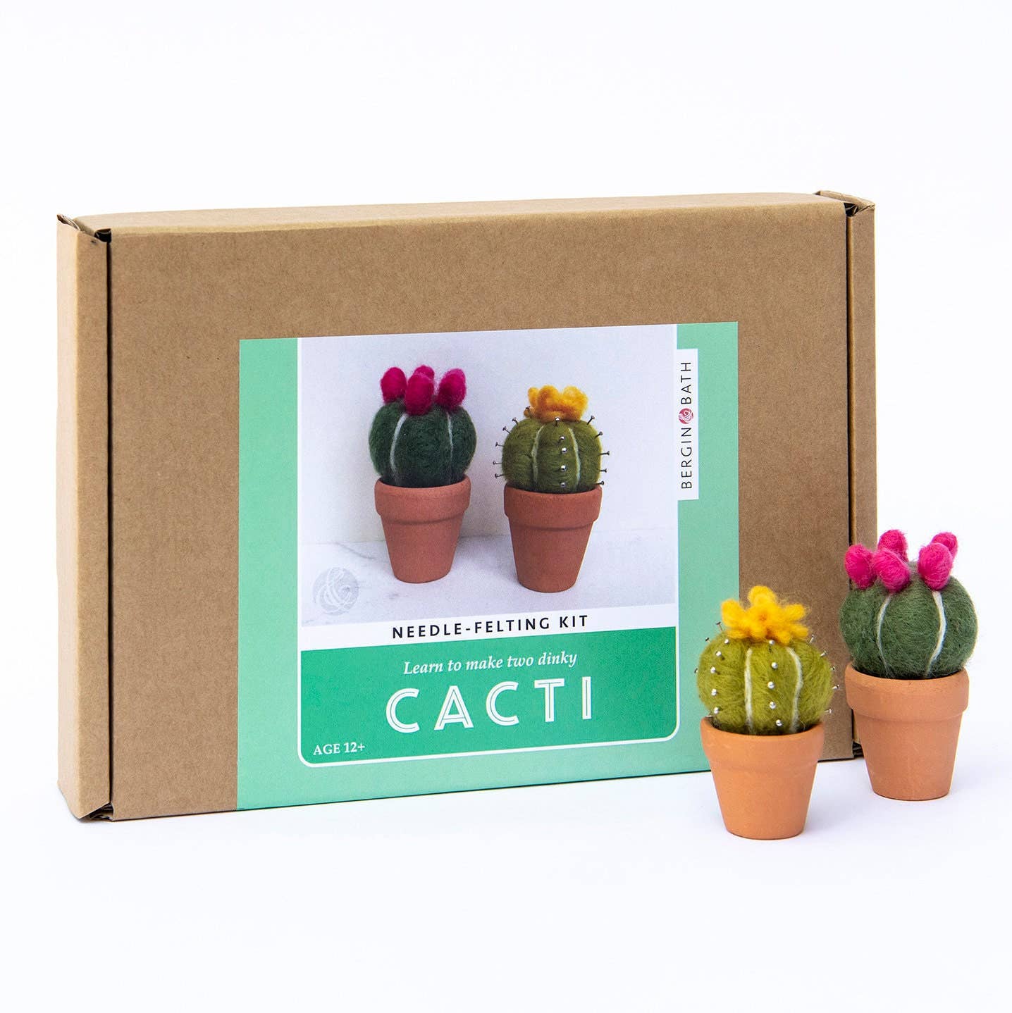 Needle felting kit - Cacti - wool craft project for beginner
