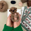 Needle Felting Kit, Baby Sloth