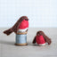 Robin Needle Felting Kit