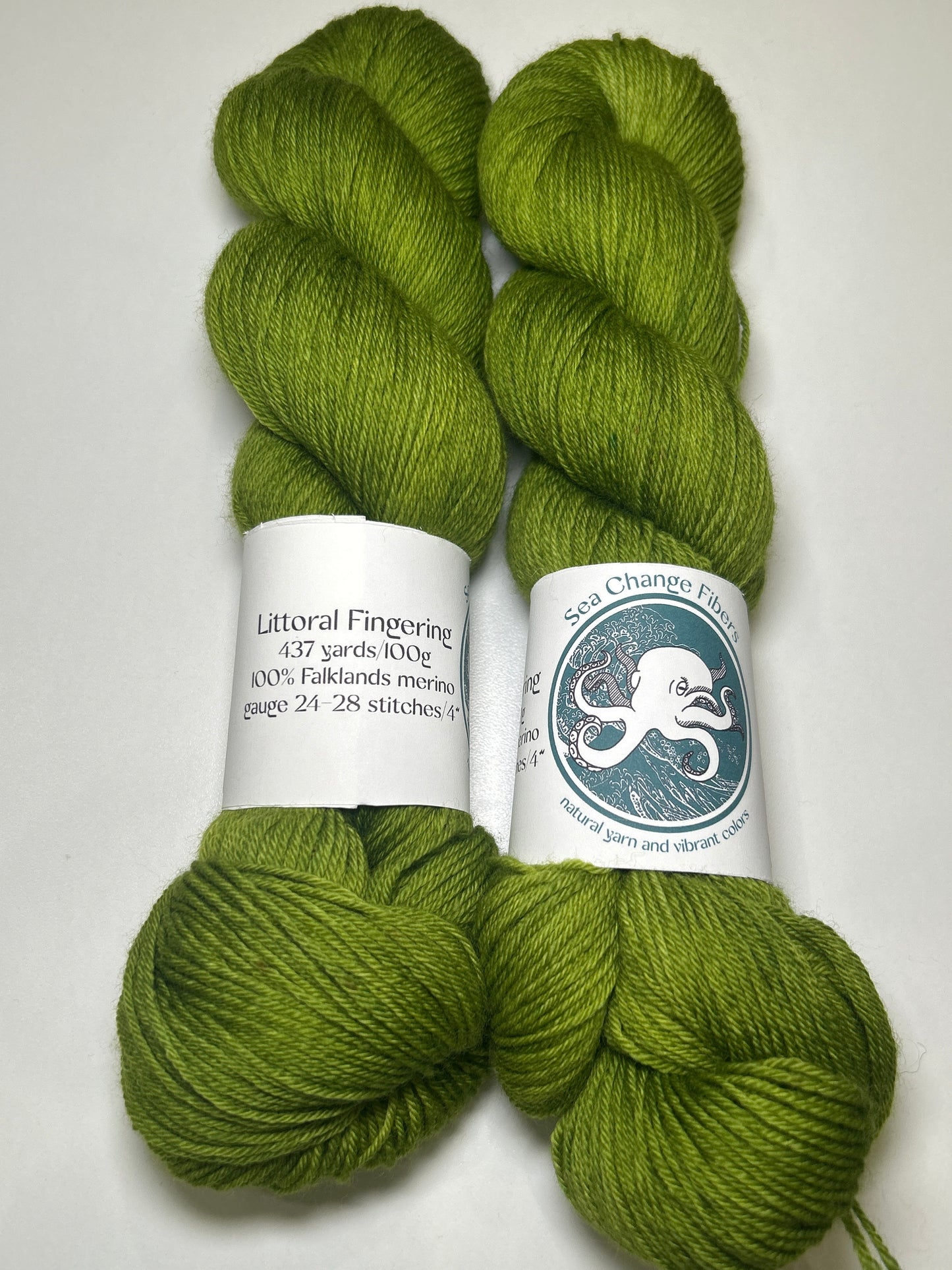 Sea Change Fibers Littoral Fingering ✧ 100% Falklands Merino