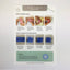 Rainbow Rose Needle Felting Kit