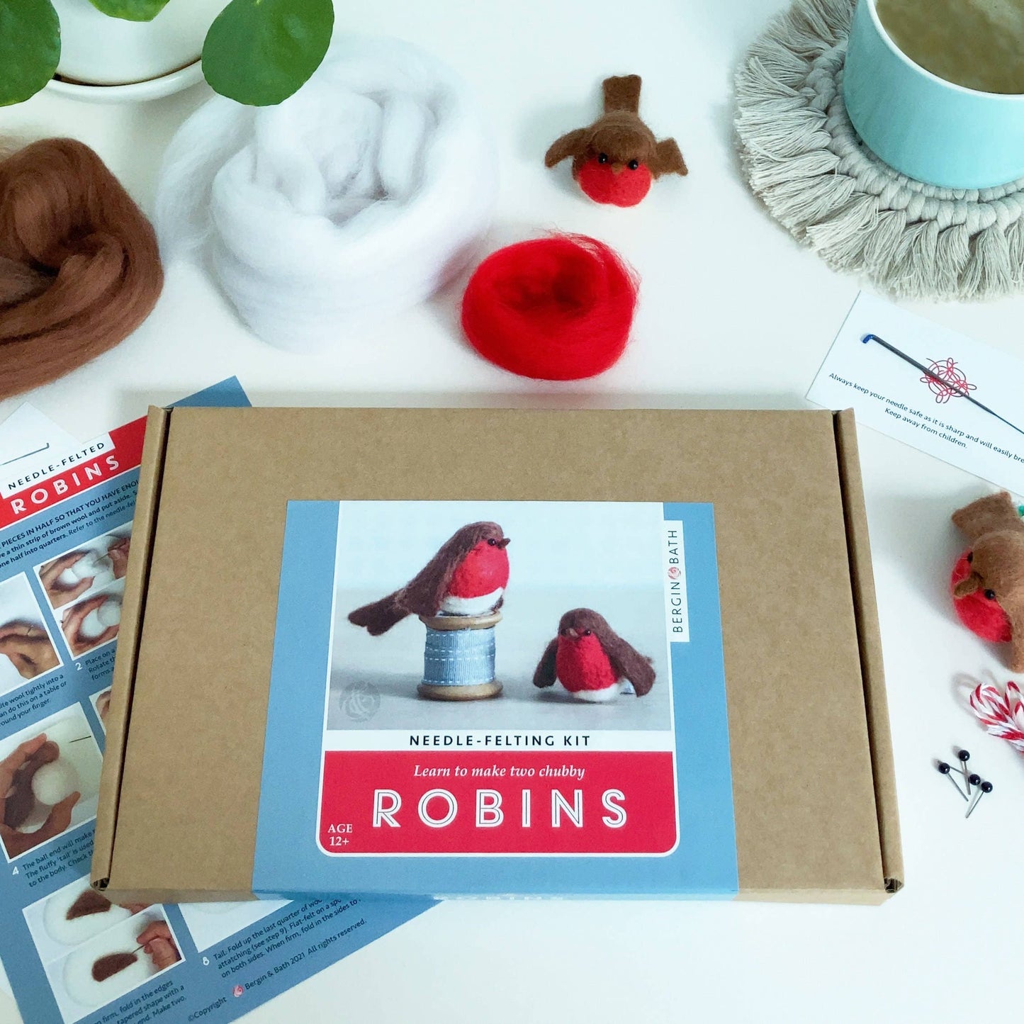 Robin Needle Felting Kit