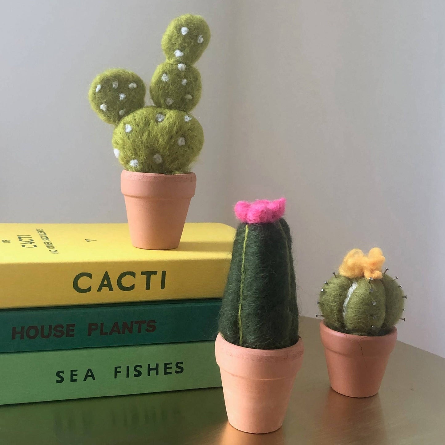 Needle felting kit - Cacti - wool craft project for beginner