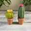 Needle felting kit - Cacti - wool craft project for beginner