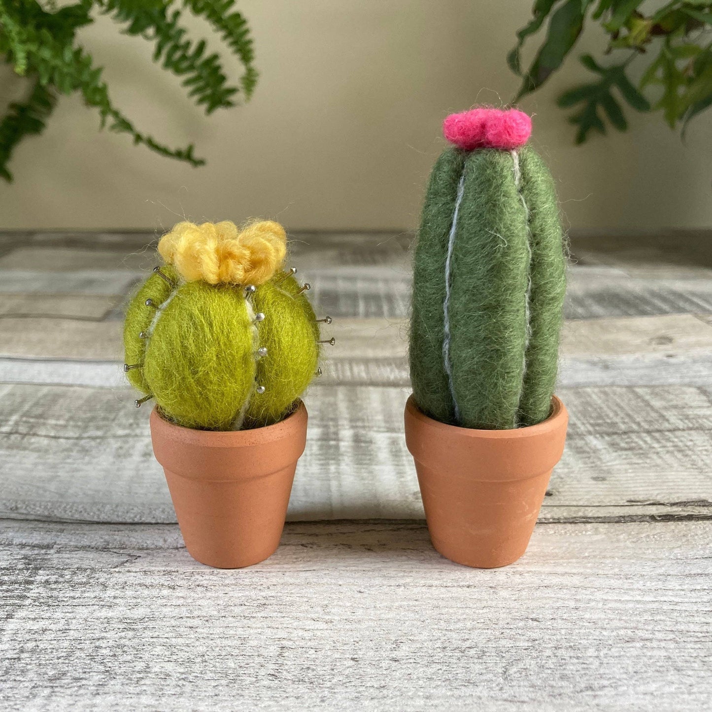Needle felting kit - Cacti - wool craft project for beginner