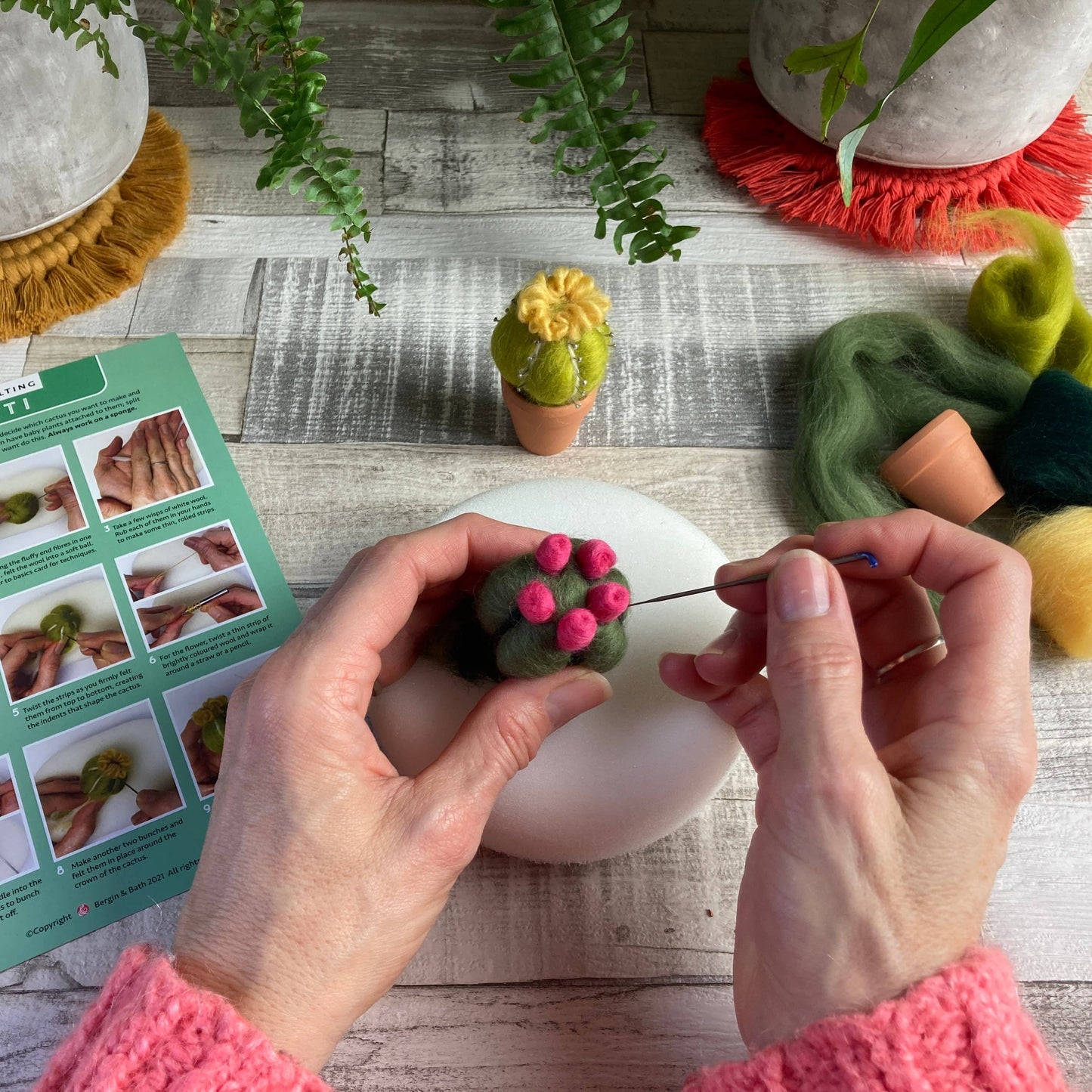 Needle felting kit - Cacti - wool craft project for beginner