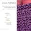 Essential Crochet Dictionary - A Visual Guide to Stitches