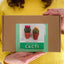 Needle felting kit - Cacti - wool craft project for beginner