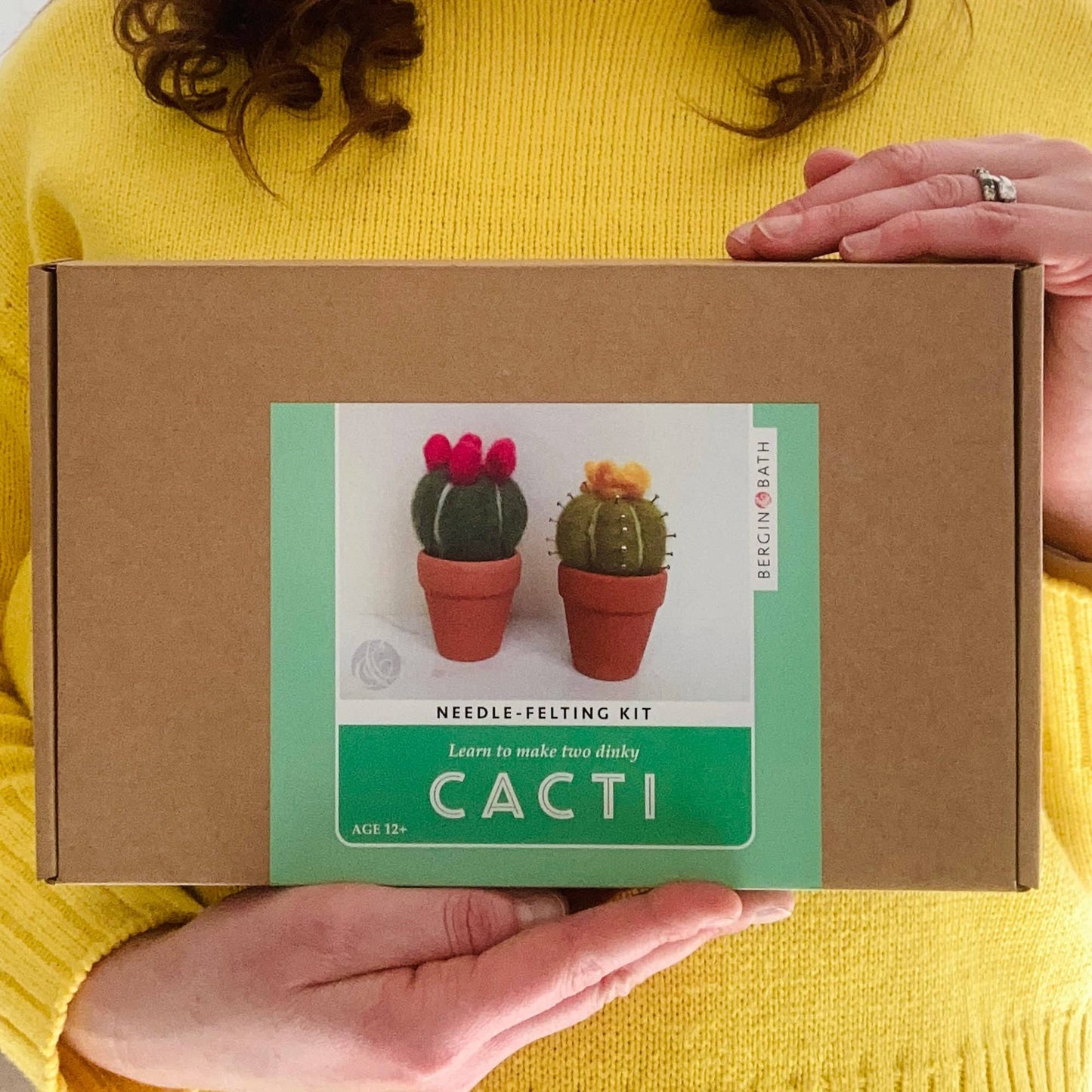 Needle felting kit - Cacti - wool craft project for beginner