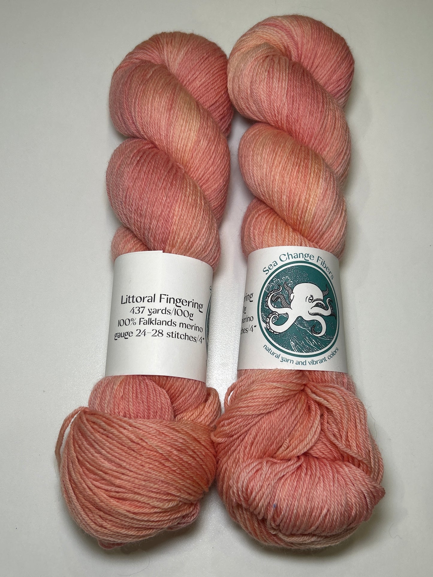 Sea Change Fibers Littoral Fingering ✧ 100% Falklands Merino