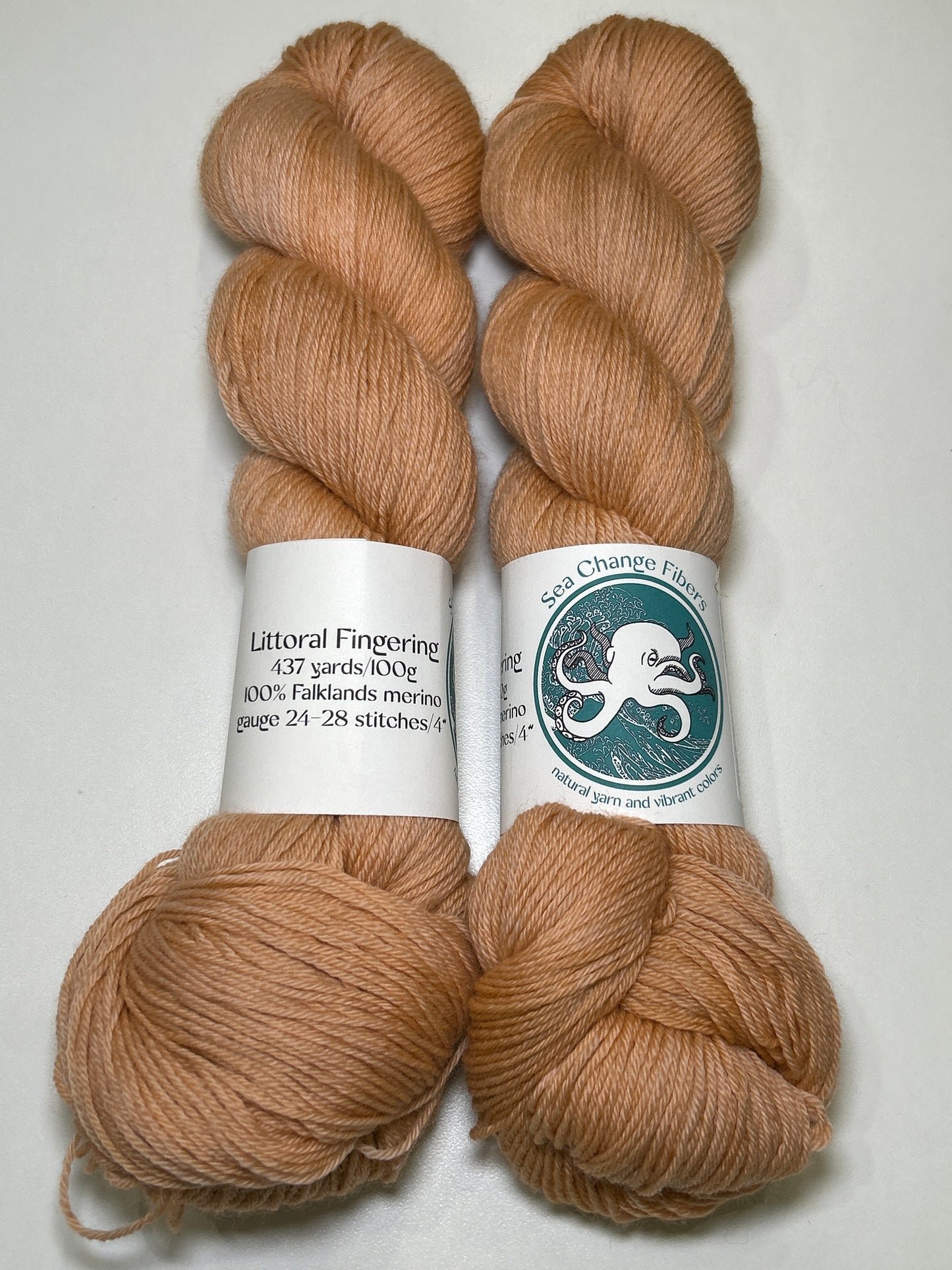 Sea Change Fibers Littoral Fingering ✧ 100% Falklands Merino