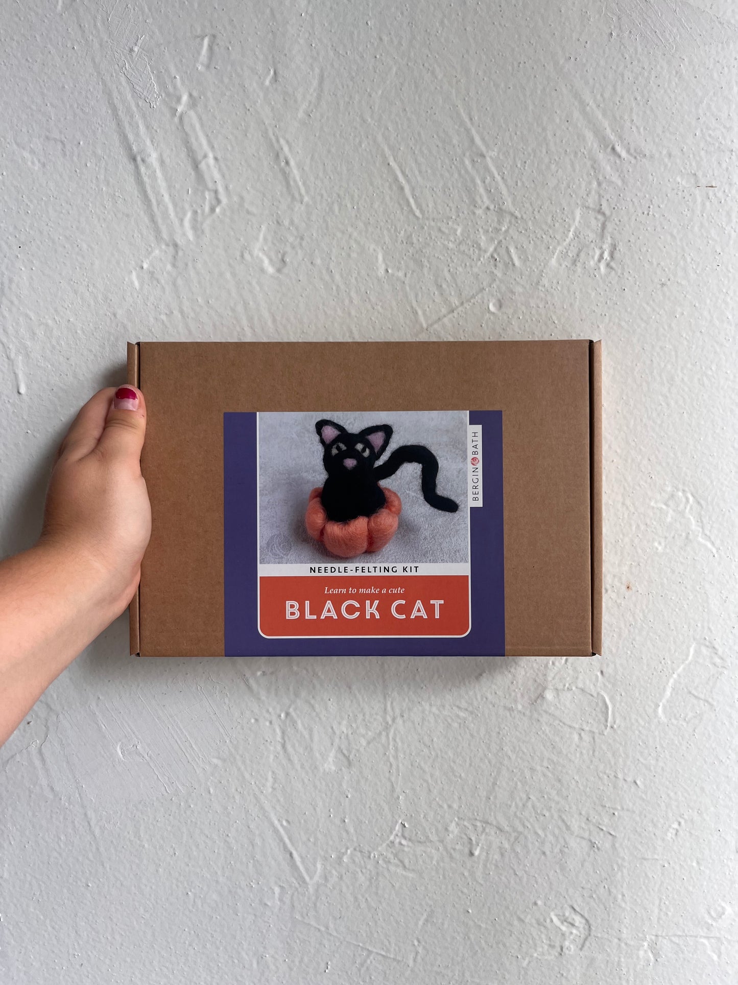 Needle Felting Kit, Black Cat. A Halloween craft kit