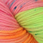 Symfonie Hand Dyed Bella Variegated- Superwash Merino
