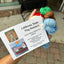 Knitting California Beanie Hat Kits by Nancy Bates
