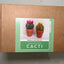 Needle felting kit - Cacti
