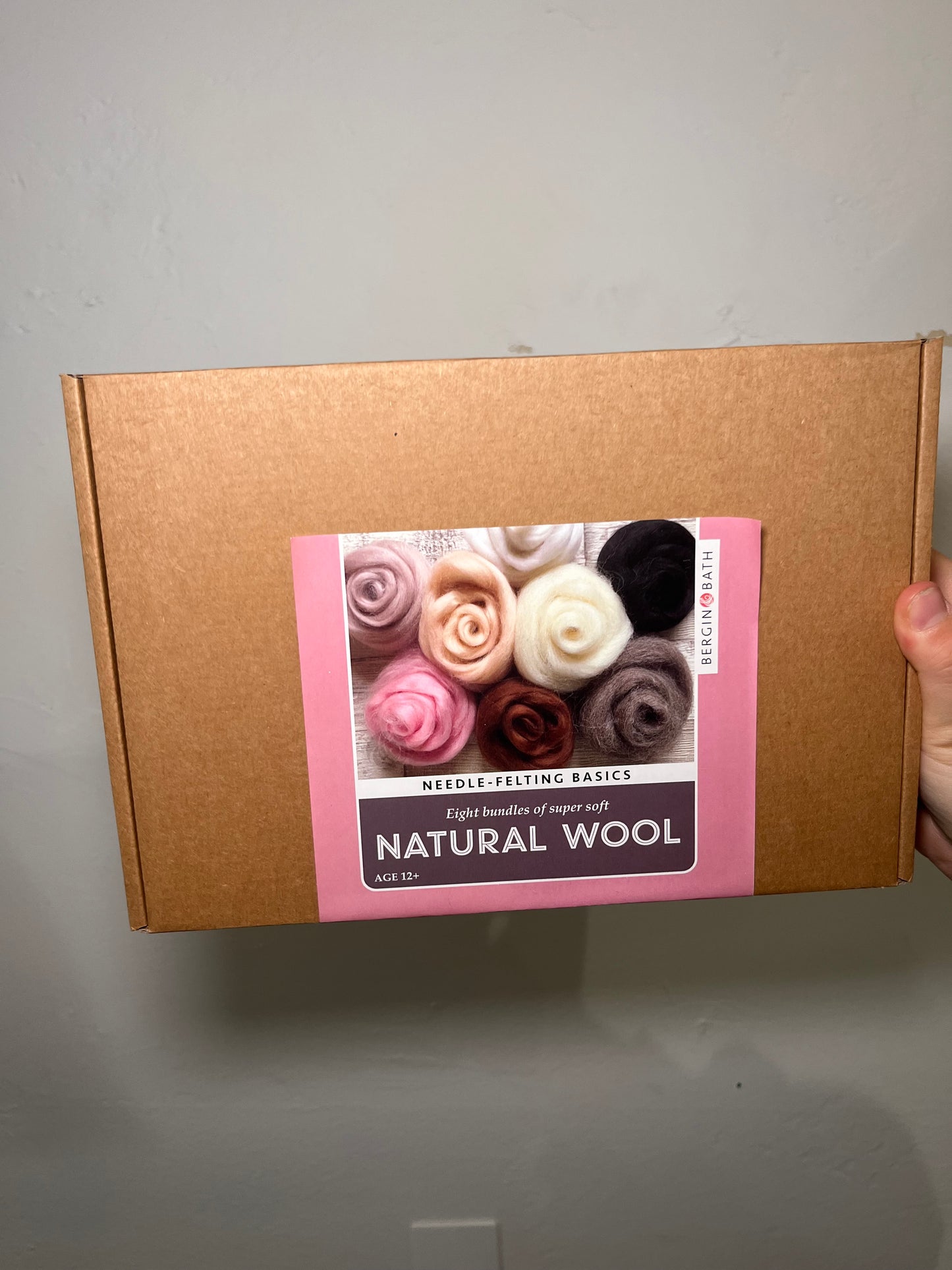 Needle Felting Kit - Roses