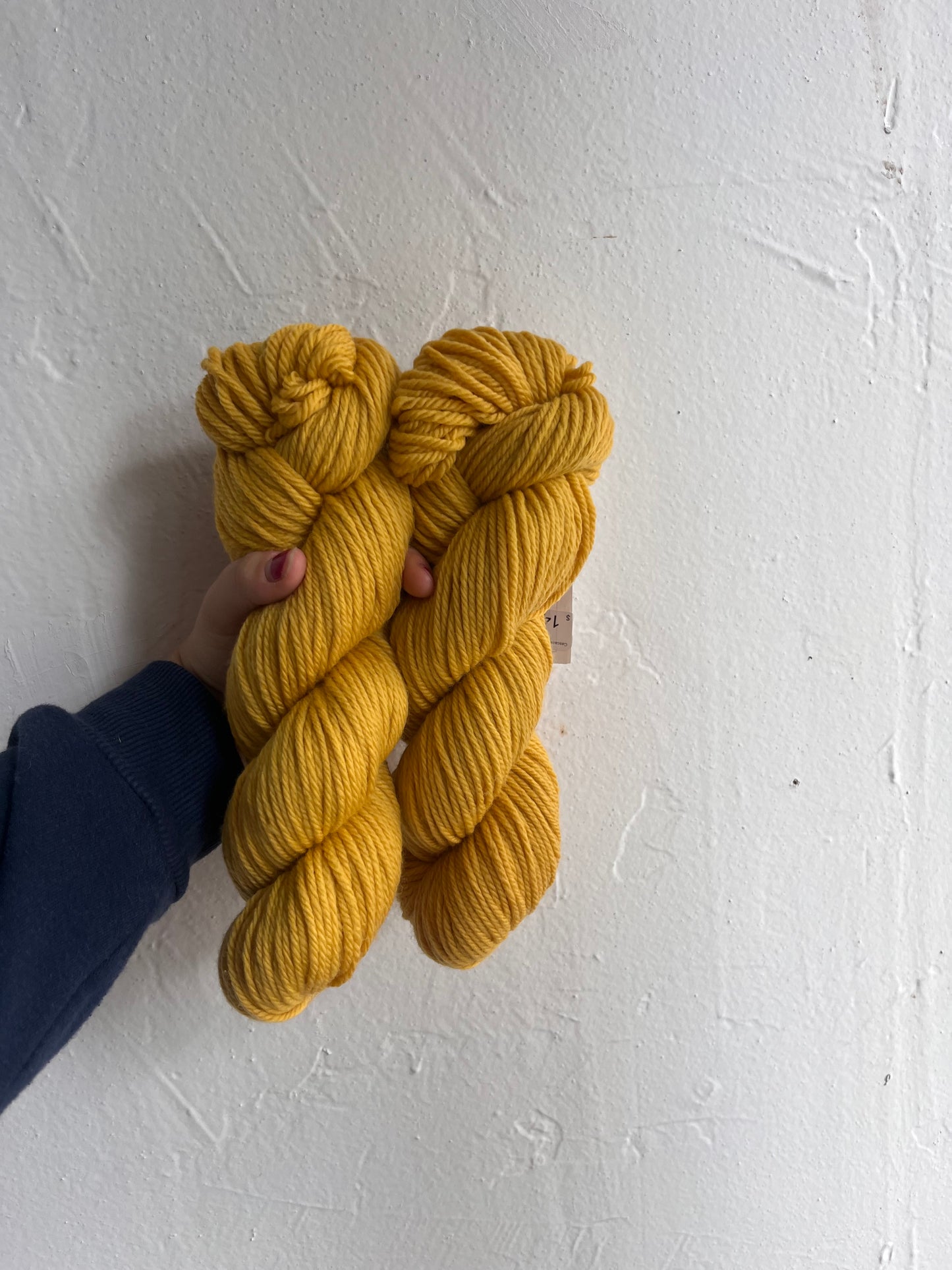 Cascade 220 Superwash Aran