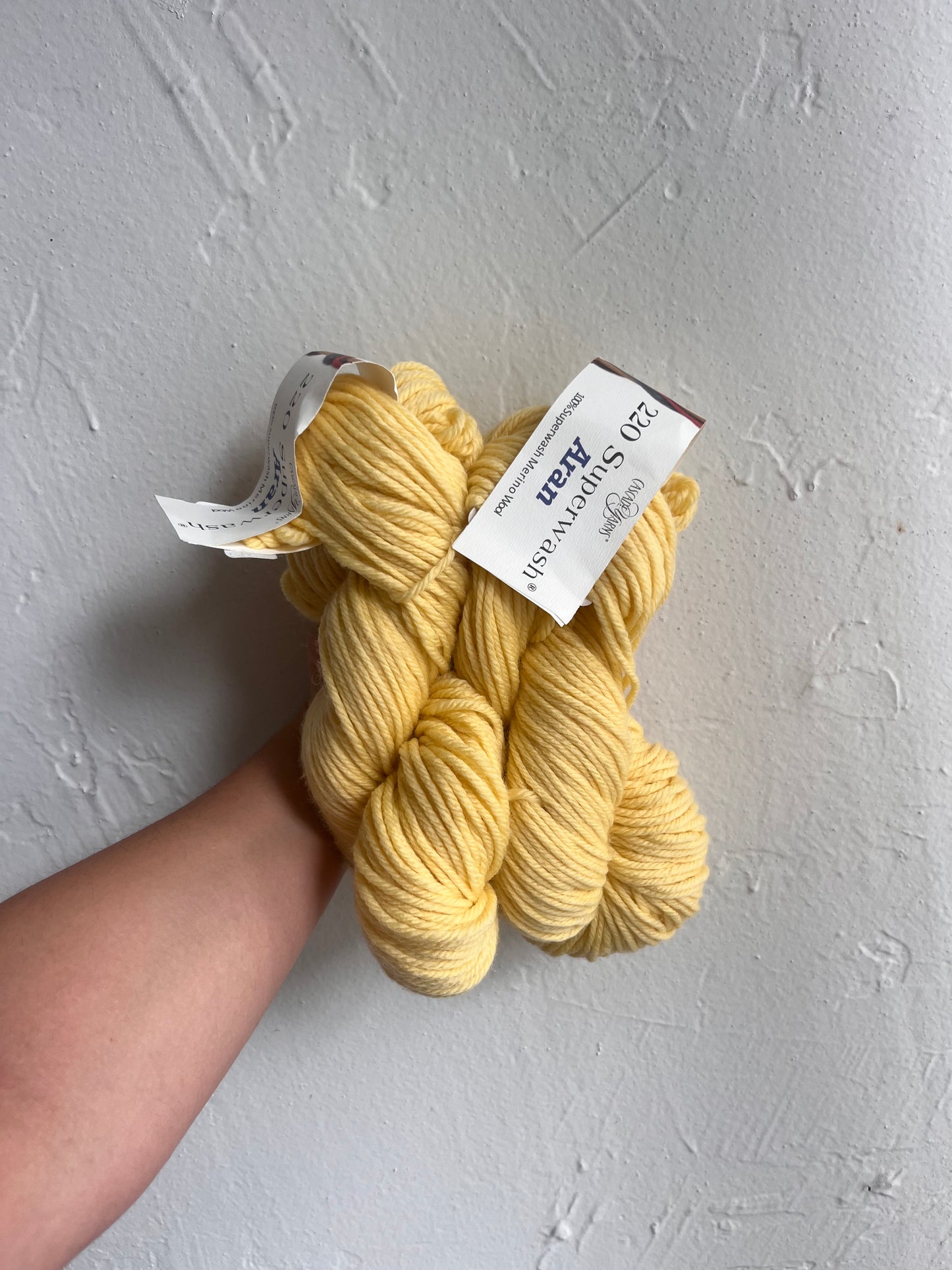 Cascade 220 Superwash Aran