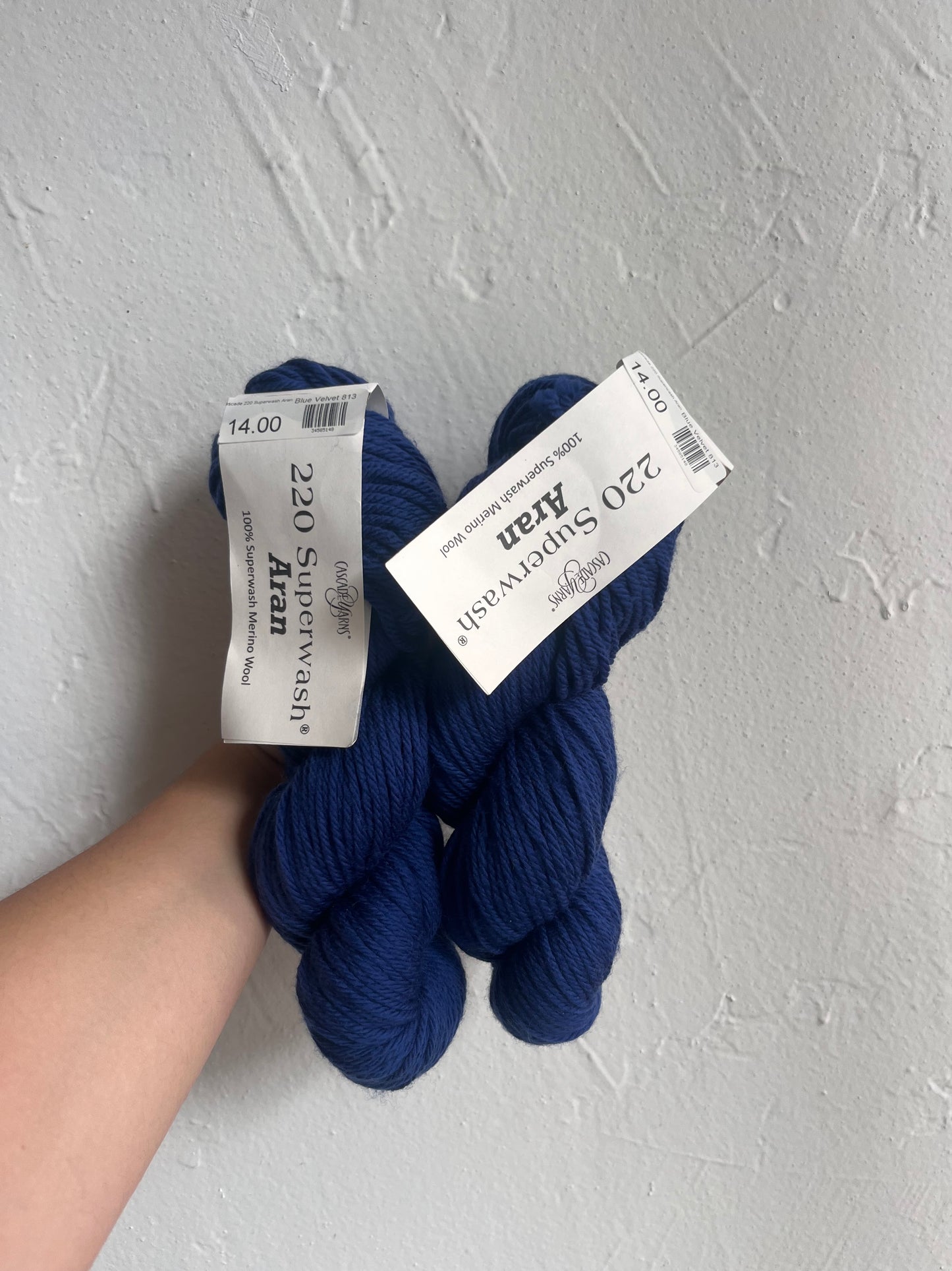 Cascade 220 Superwash Aran