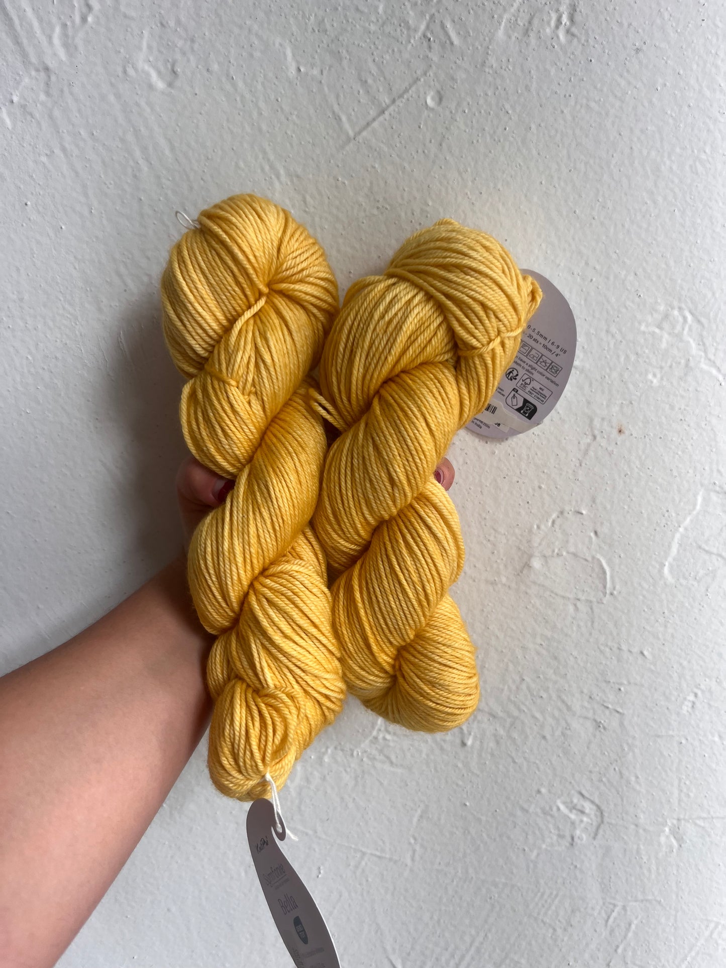 Symfonie Hand Dyed Bella- Superwash Merino