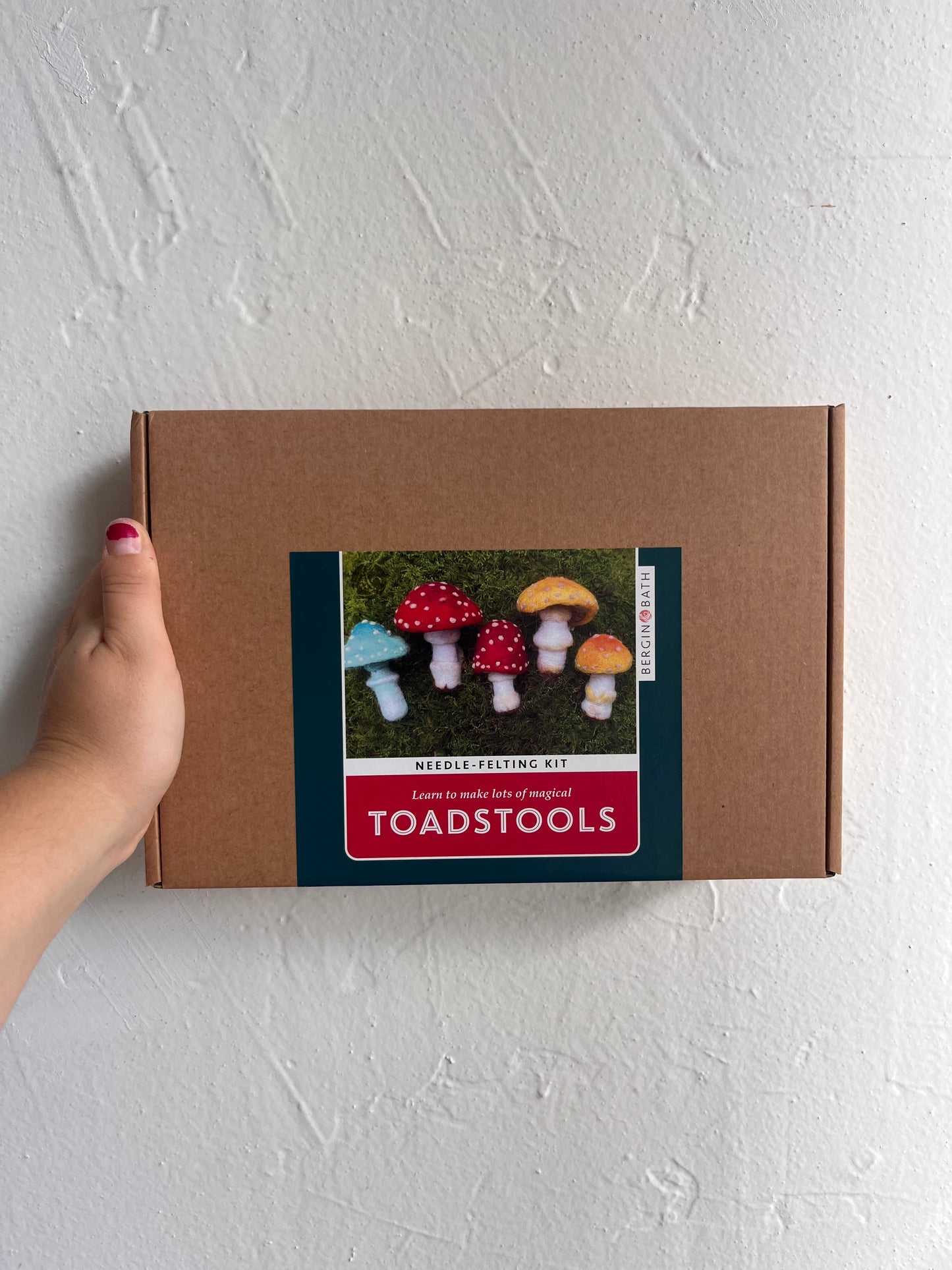 Needle Felting Kit, Toadstools