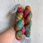 Symfonie Hand Dyed Bella Variegated- Superwash Merino