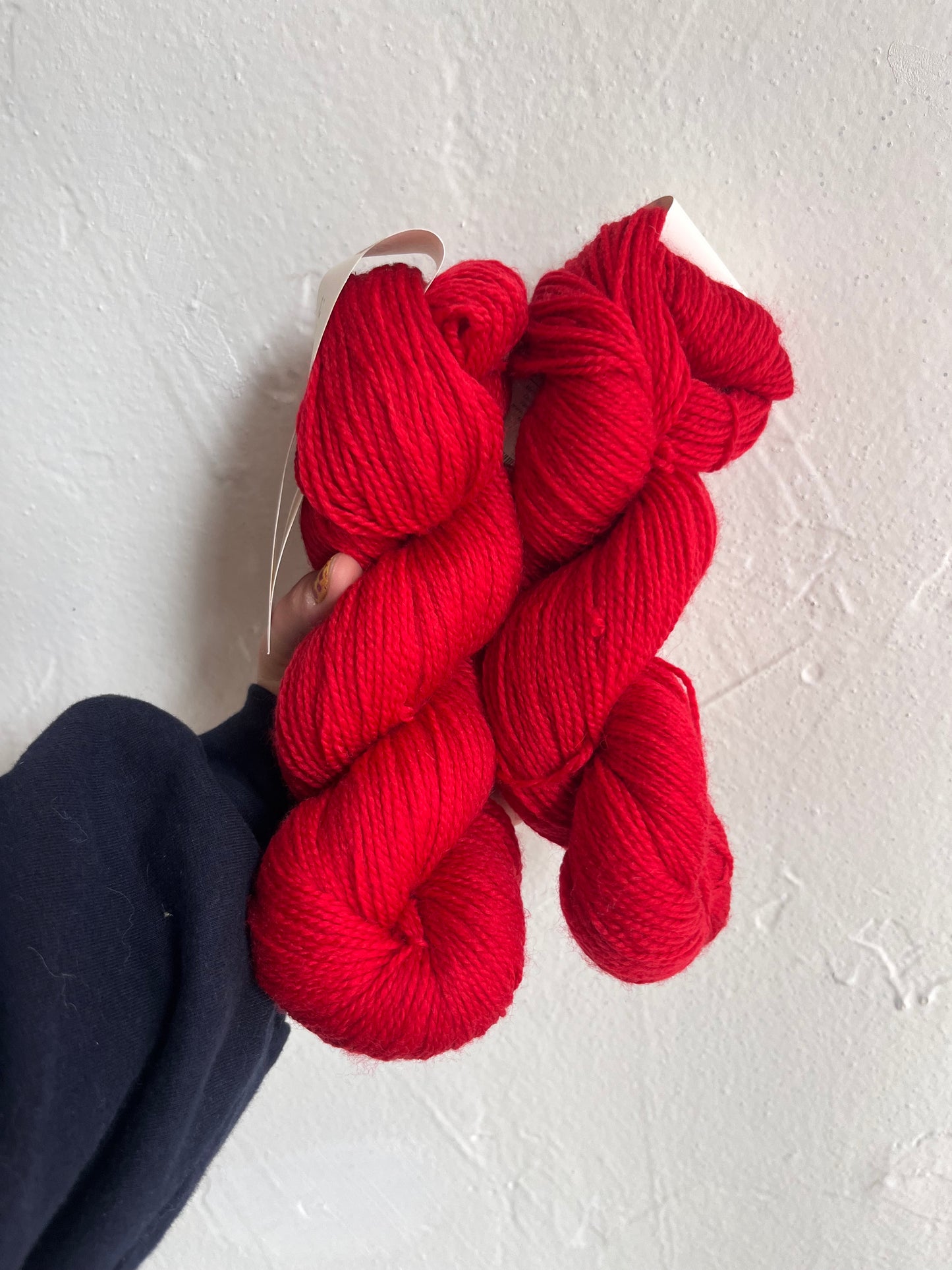 Cascade 220 Superwash Fingering