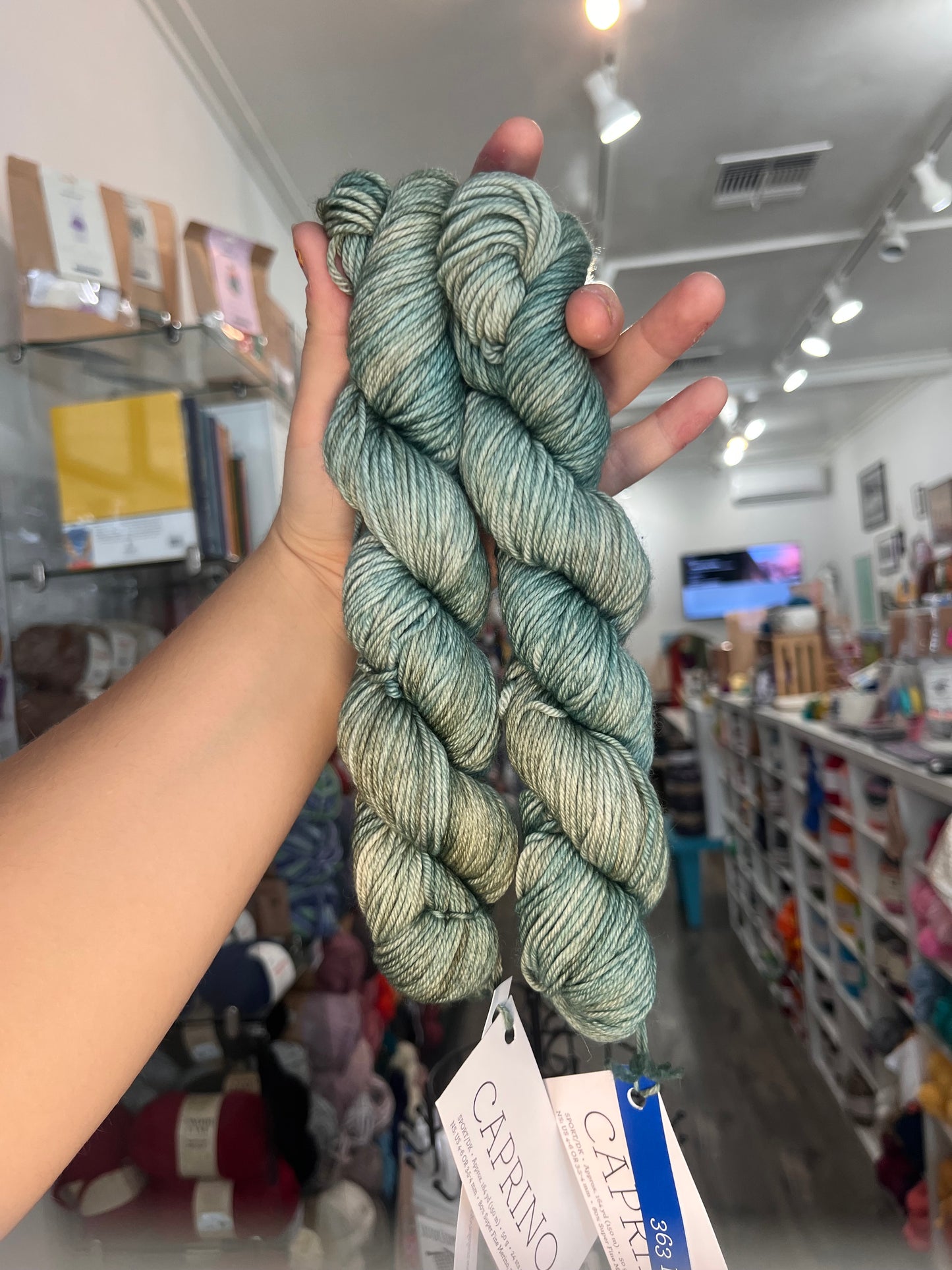 Malabrigo Caprino