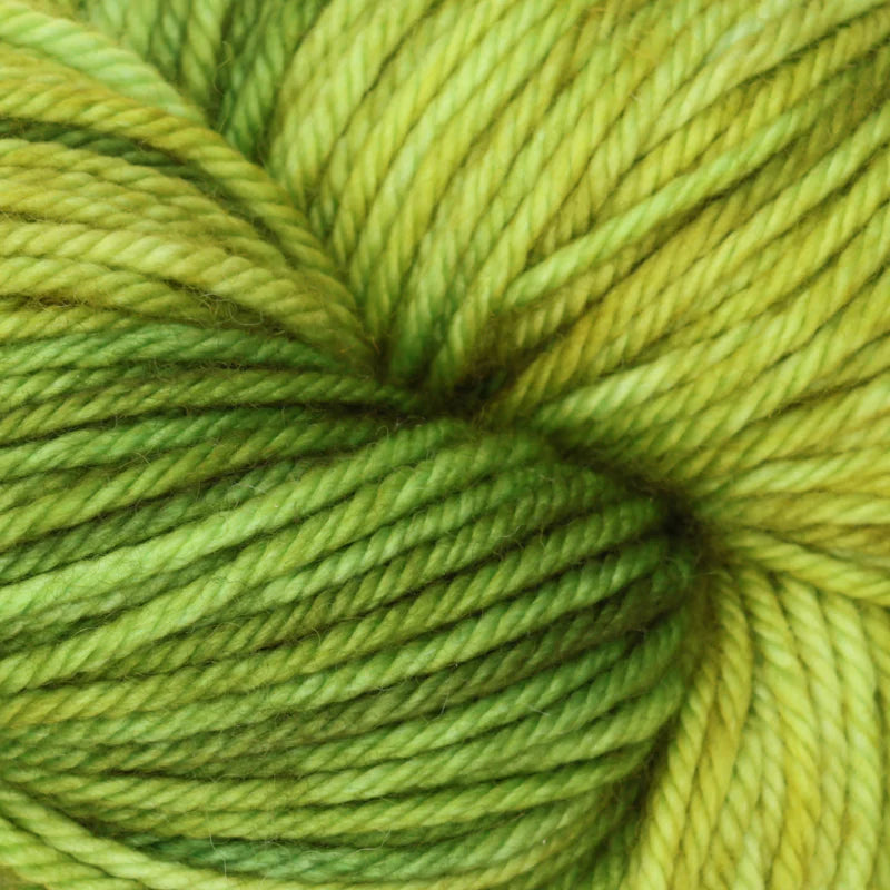 Symfonie Hand Dyed Bella Variegated- Superwash Merino
