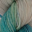 Symfonie Hand Dyed Yarns - Viva - Superwash Merino DK