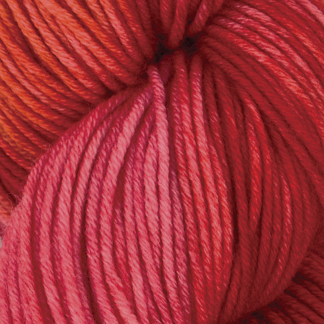 Symfonie Hand Dyed Yarns - Viva - Superwash Merino DK